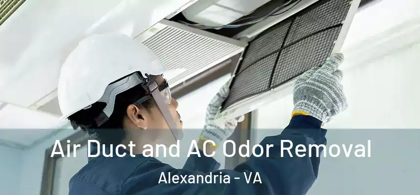 Air Duct and AC Odor Removal Alexandria - VA