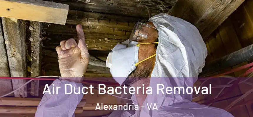  Air Duct Bacteria Removal Alexandria - VA