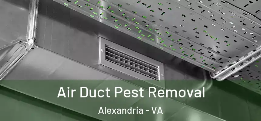  Air Duct Pest Removal Alexandria - VA