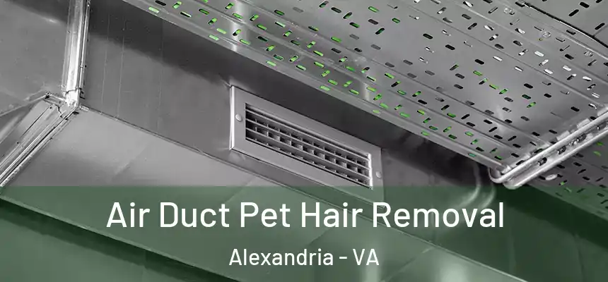 Air Duct Pet Hair Removal Alexandria - VA