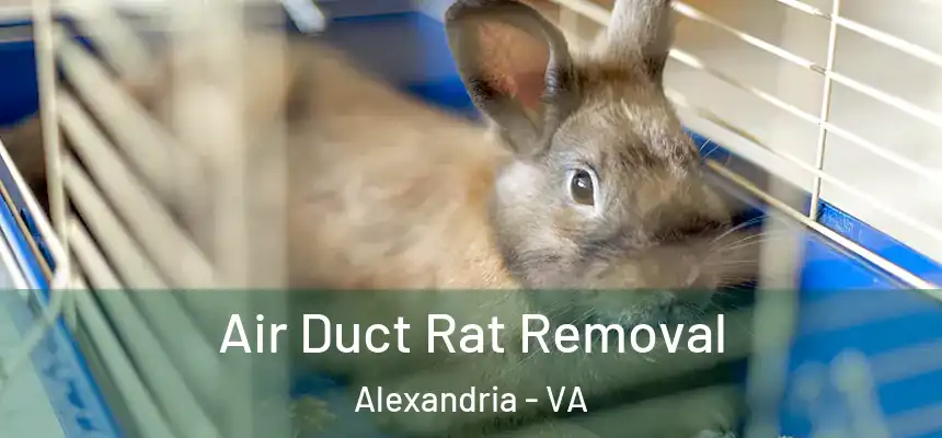  Air Duct Rat Removal Alexandria - VA