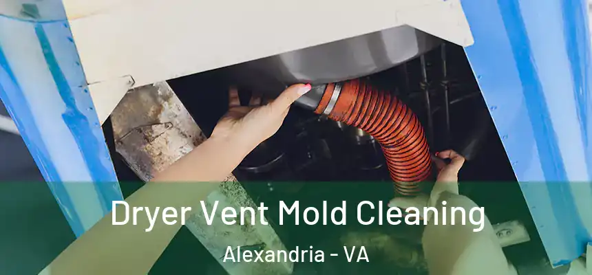 Dryer Vent Mold Cleaning Alexandria - VA