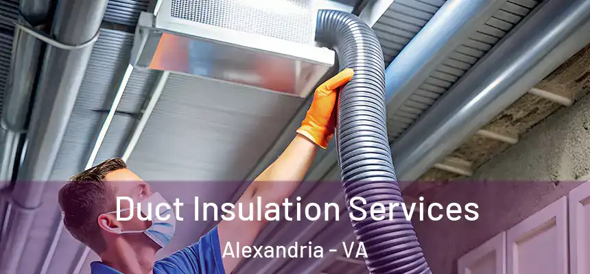 Duct Insulation Services Alexandria - VA