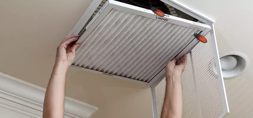 Our Insect Removal from Air Ducts Services in Alexandria, VA