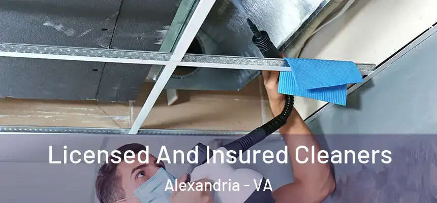 Licensed And Insured Cleaners Alexandria - VA