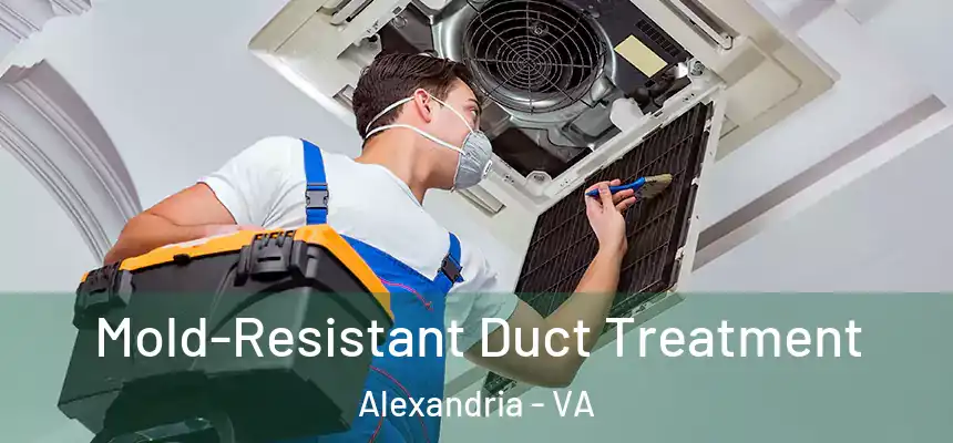 Mold-Resistant Duct Treatment Alexandria - VA