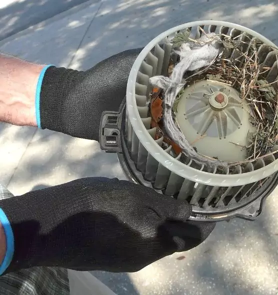 About Air Duct Mice Removal in Alexandria, VA