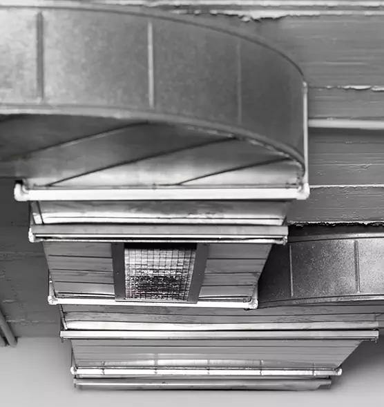 Professional Air Duct Pet Hair Removal in Alexandria, VA