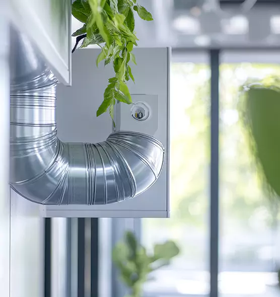 Professional Eco-Safe Dryer Vent Cleaning in Alexandria, VA