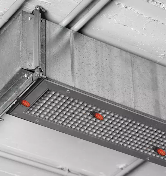 Affordable Insect Removal from Air Ducts in Alexandria, VA