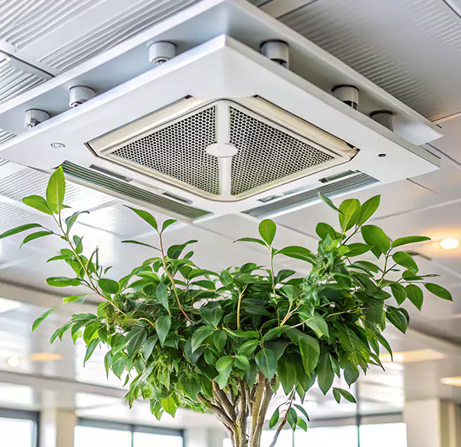 Why Homeowners & Businesses Trust Us in Alexandria, VA?