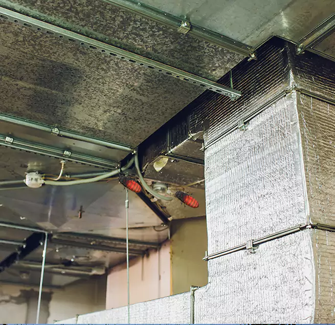 Why Homeowners & Businesses Trust Us Alexandria, VA?