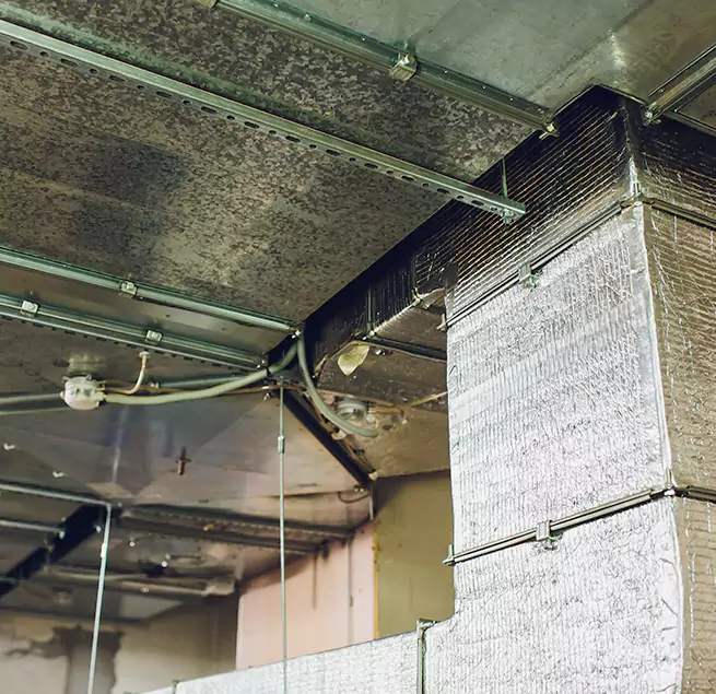 Why Homeowners & Businesses Trust Us in Alexandria, VA?