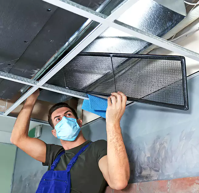 Why Homeowners Businesses Trust Us in Alexandria, VA